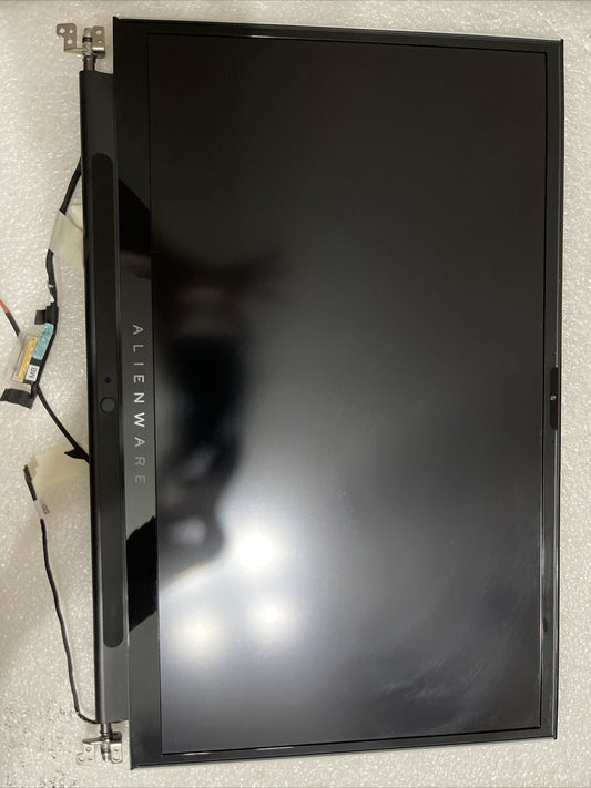 Oem DELL ALIENWARE M17 R3 R4 17.3" FULL HD 300HZ LAPTOP LCD SCREEN 8JRHK SPL5