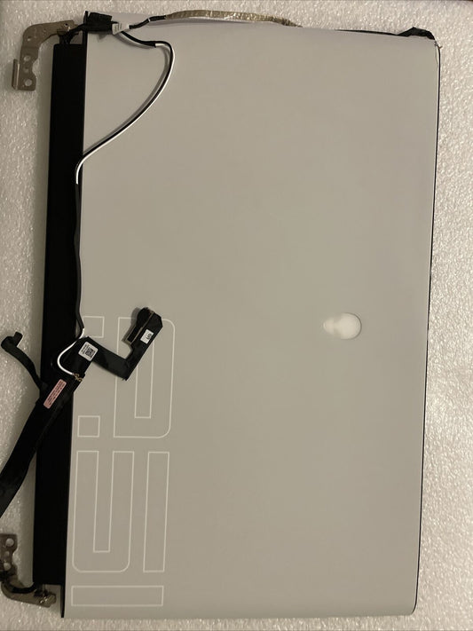 Dell Alienware Area-51m R2 17.3" FHD LCD Screen 144Hz CMTD2 H2 L8 Dented