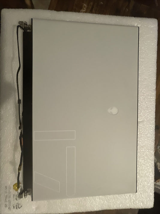 DELL ALIENWARE M17 R3 17.3" FULL HD LAPTOP LCD SCREEN ASSEMBLY 5YKTJ H1L4