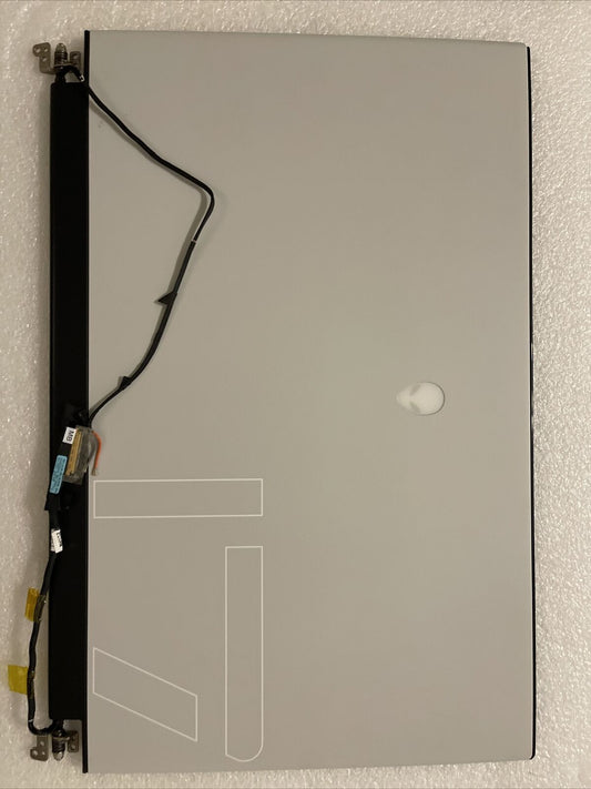 Oem DELL ALIENWARE M17 R3 R4 17.3" FULL HD 300HZ LAPTOP LCD SCREEN  4VP88 H2 L4