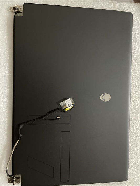 Dell Alienware m17 R5 AMD 165Hz FHD LCD Screen Assembly DY3T6 35CVT H1 L8