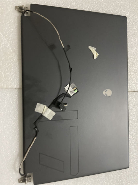 GENUINE Dell Alienware M17 R7 LCD Screen X43XM 0X43VM 0MW4CD  R1 L6 Grade A