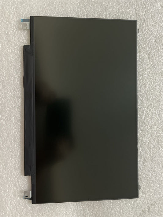 OEM Dell Vostro 3401 3405 14" LCD Matte W Mounting Rails 30Pin PRWRT 0PRWRT R1S8