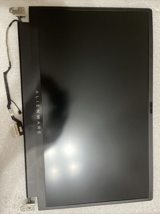 Defective Dell Alienware m17 R5 AMD 165Hz FHD LCD Screen 35CVT DY3T6 KT P8 S7